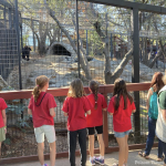 Deadline nears to become a Folsom City Zoo docent