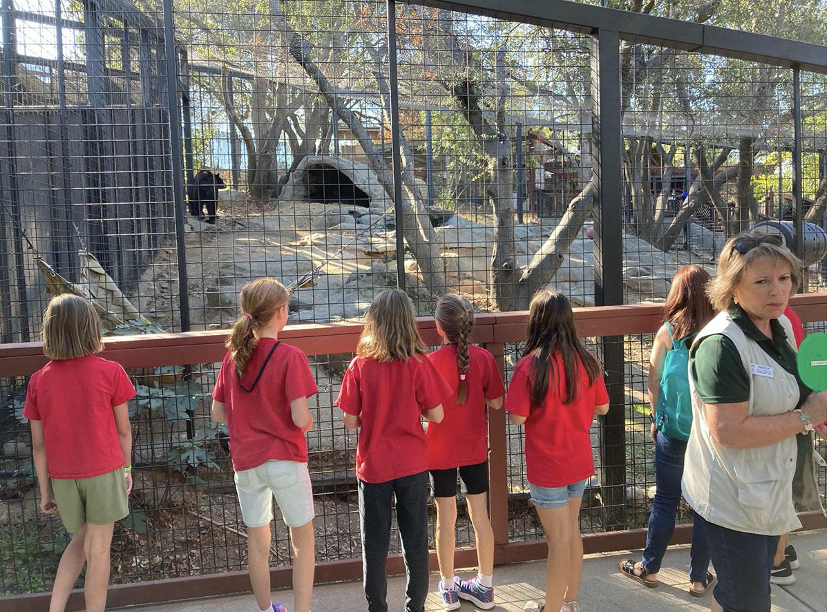 Deadline nears to become a Folsom City Zoo docent