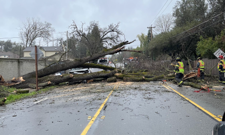 Two injured as tree falls across Auburn Folsom road