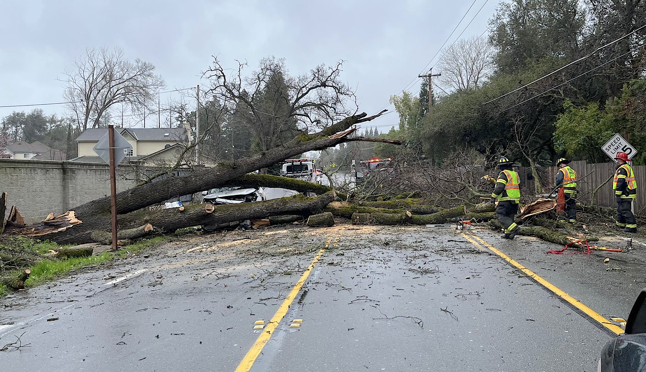 Two injured as tree falls across Auburn Folsom road 