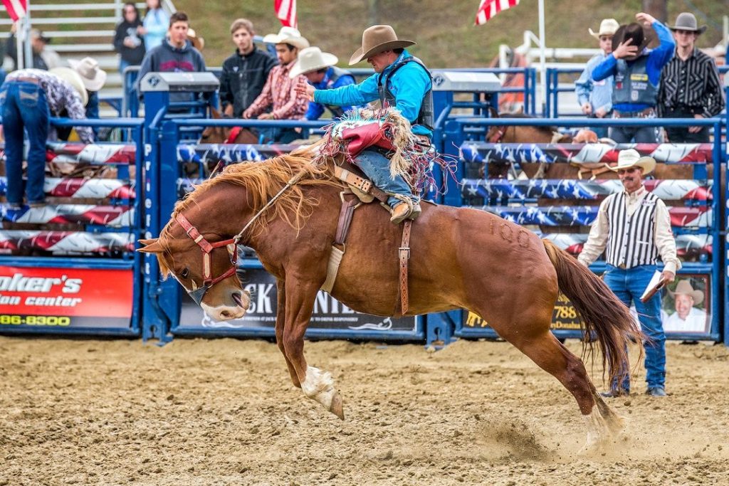 Gold Country Pro Rodeo rides into nearby Auburn this week Folsom Times