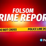 Puppy stolen, mail theft, 70K sweepstakes fraud top Folsom crime reports 