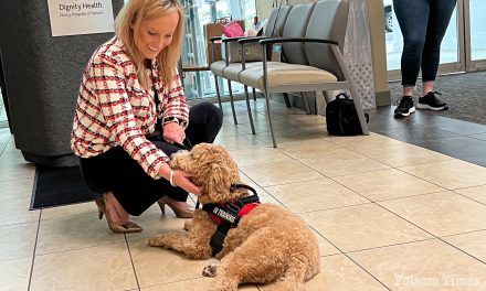VIDEO: A Dog’s Day, literally, at Folsom’s Mercy Hospital 
