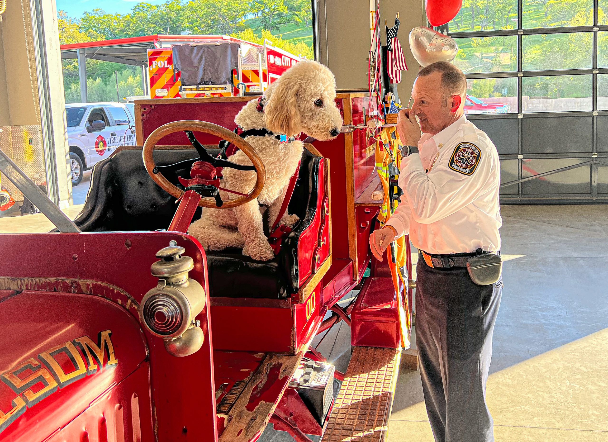 VIDEO: Blitz earns his official Folsom Fire Department badge
