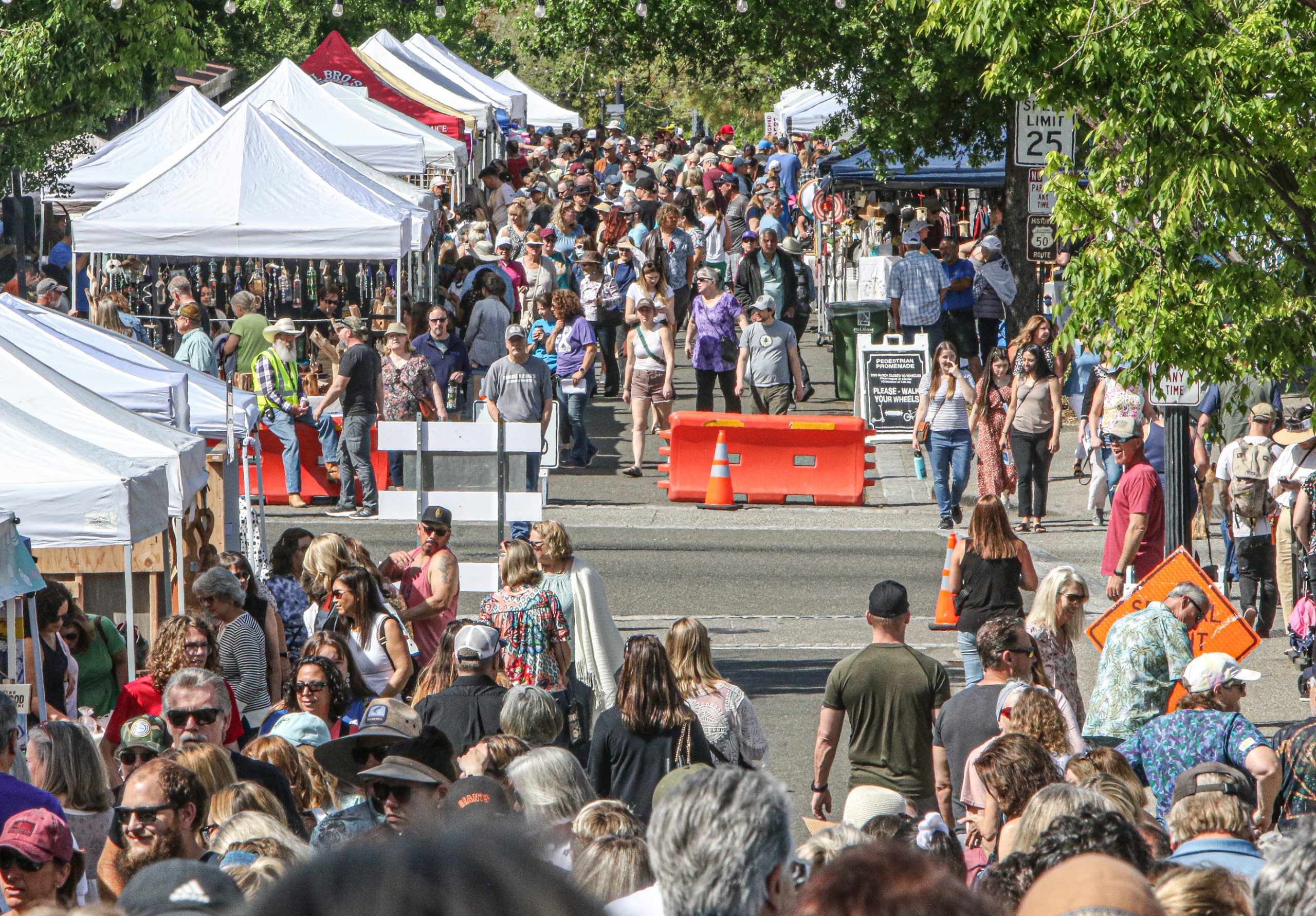 Spring arts and crafts fair brings 8000 plus to Historic Folsom