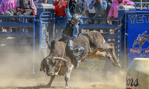 Gold Country Pro Rodeo rides into nearby Auburn this week