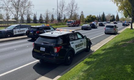 1 killed, 2 others shot, gunman in custody in Roseville Thursday