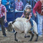 Folsom Pro Rodeo Mutton Busting sign ups open