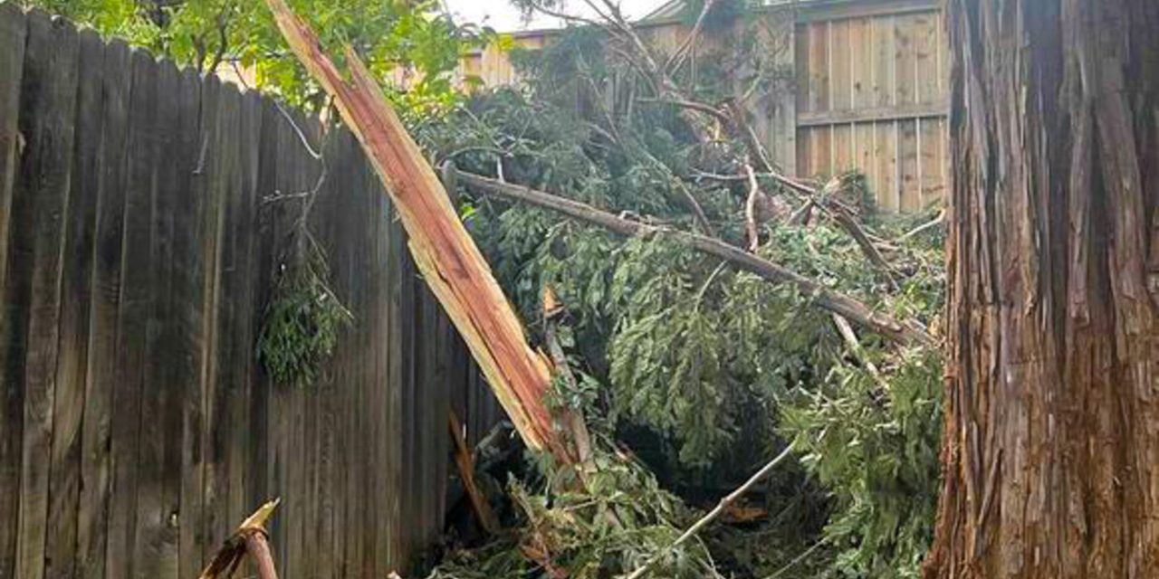 Lightning strike explodes large tree in Folsom neighborhood