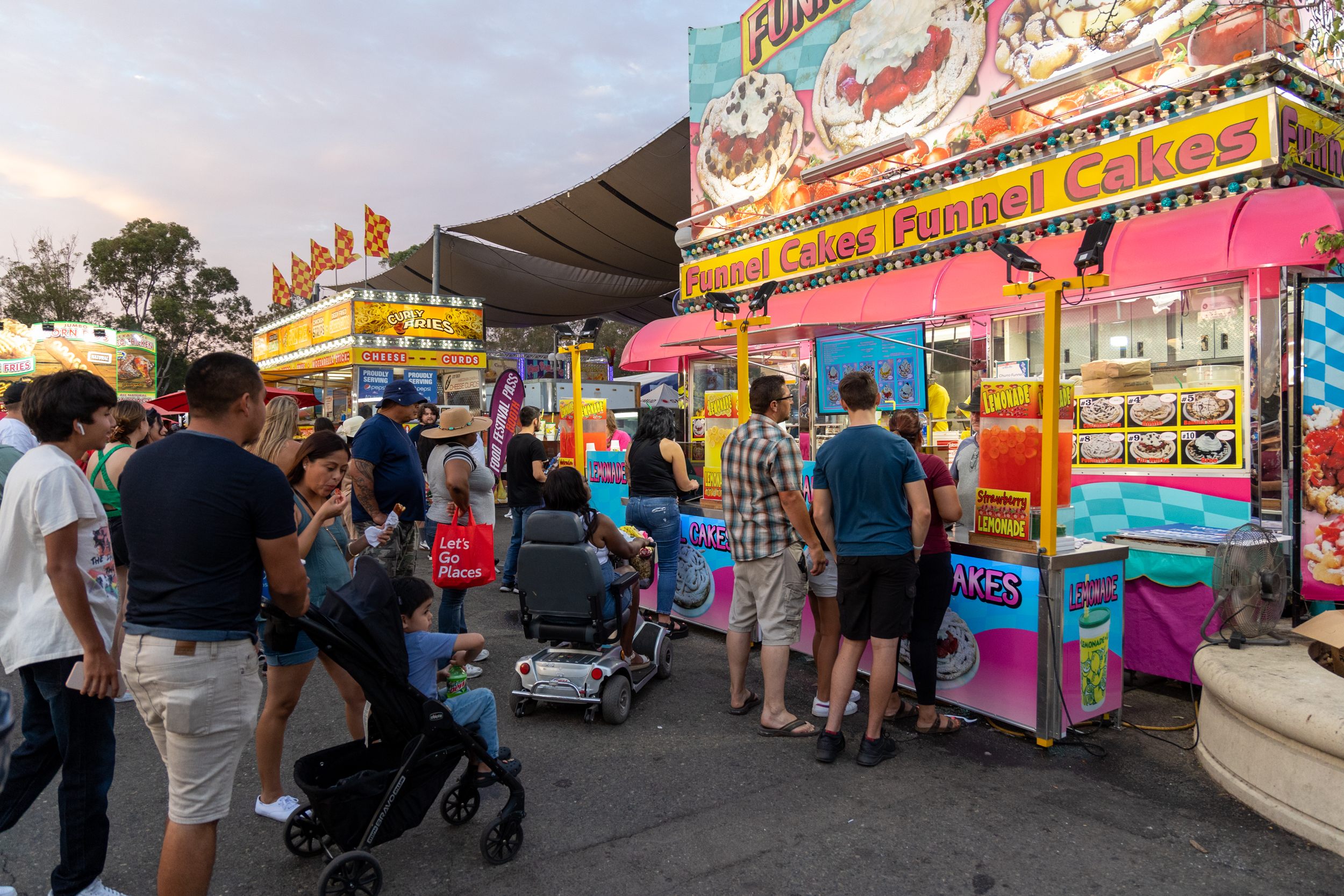 Save on State Fair entry for Giving Monday 