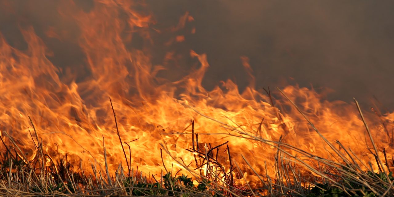 Vegetation fire near Orangevale bluffs Sunday evening 