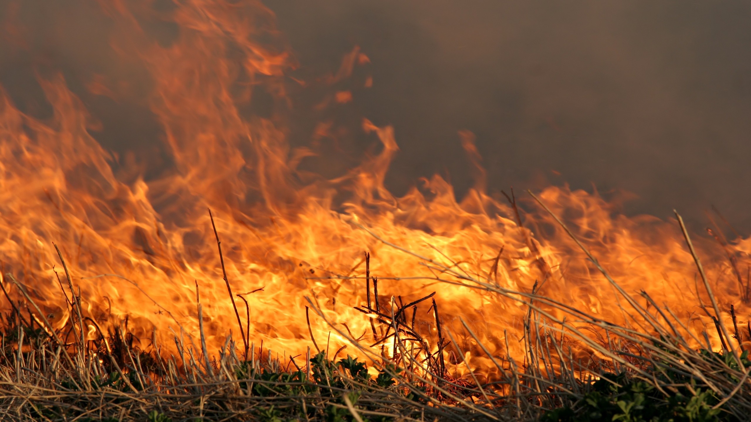 Vegetation fire near Orangevale bluffs Sunday evening 