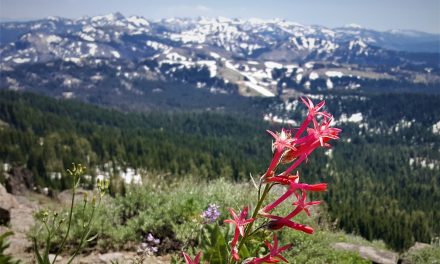 Day Hiker: Castle Peak is a 5.8 mile trek