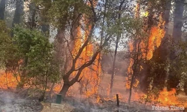 String of suspicious fires threaten Orangevale homes Wednesday evening