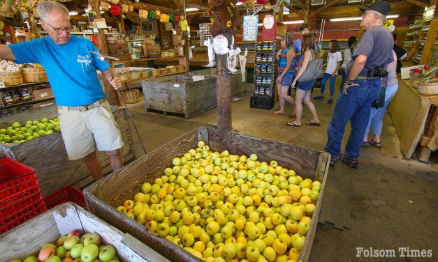 A Labor Day tradition: Apple Hill opens what looks to be a fruitful season