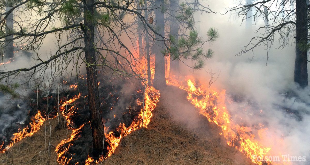Eldorado National Forest to resume prescribed burning