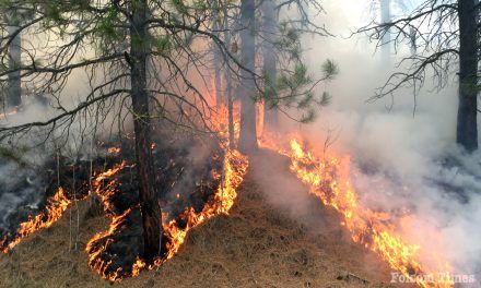 Eldorado National Forest to resume prescribed burning
