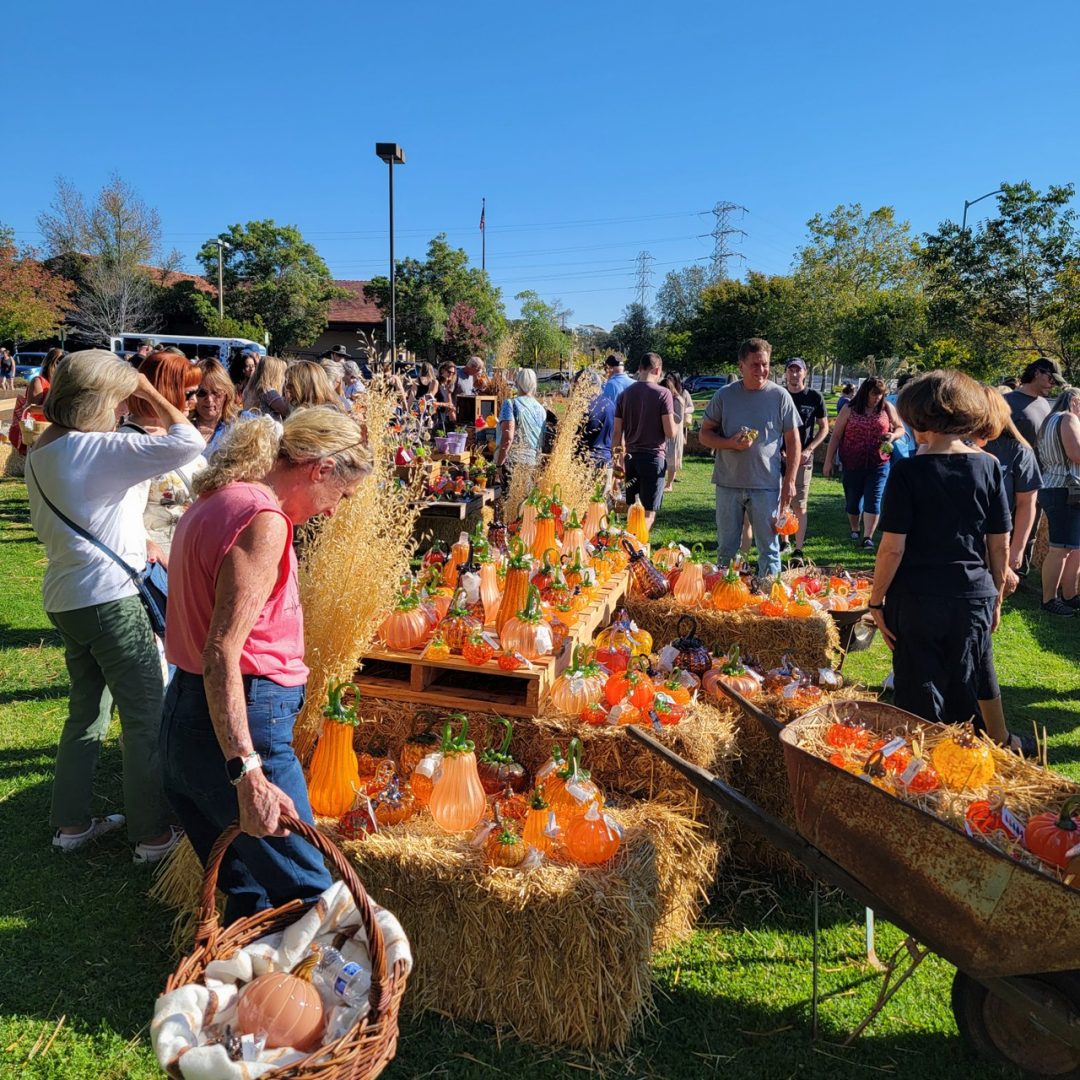 Folsom Glass Pumpkin Patch Sure To Blow You Away Folsom Times