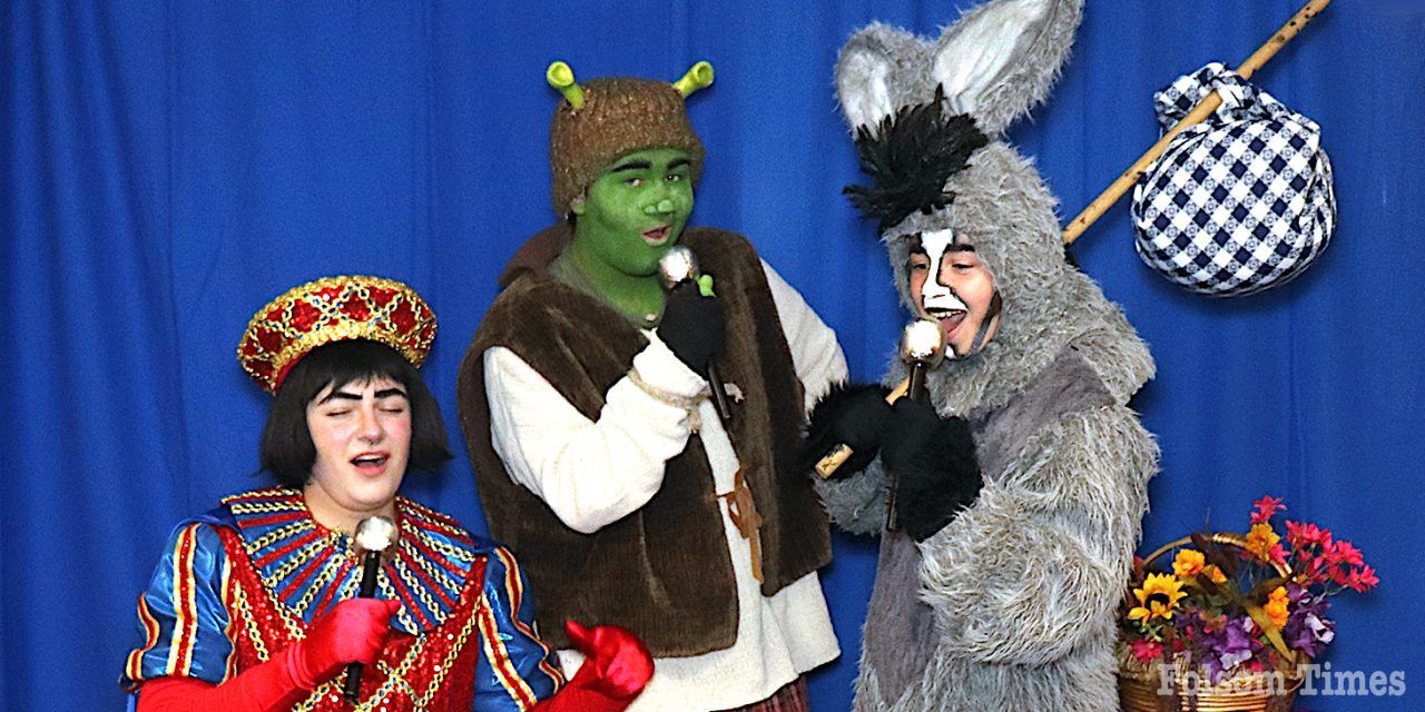 Shrek the Musical Jr. brings family fun to Sutter Street Theatre