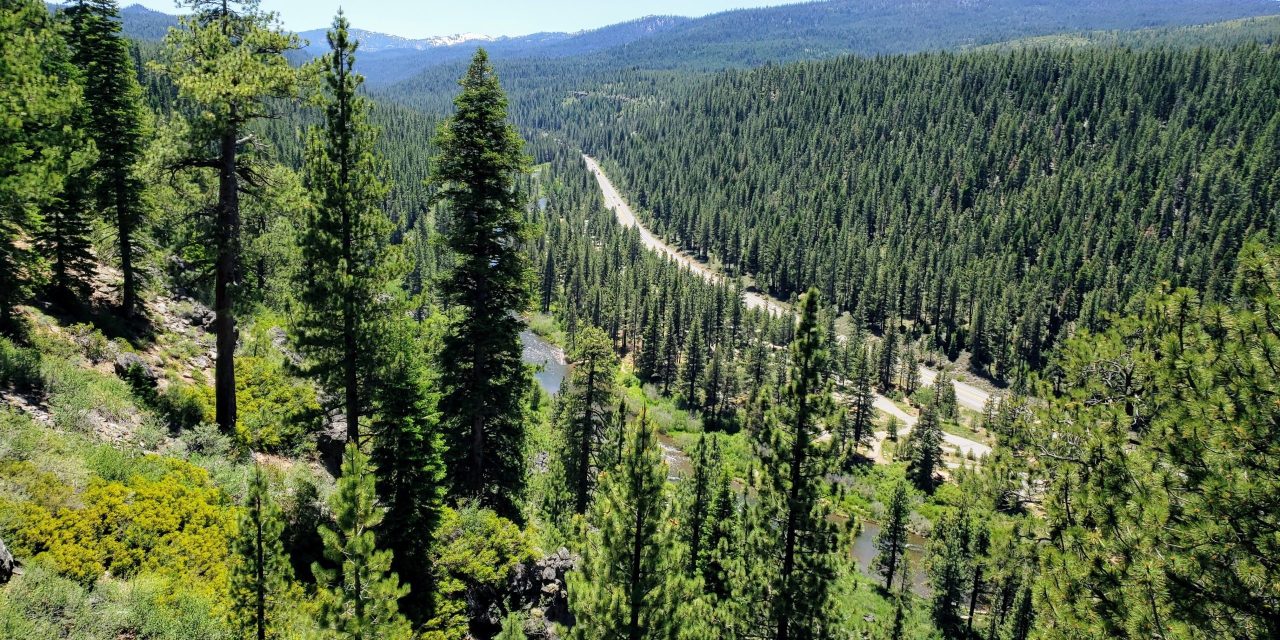 Day Hiker: Sawtooth Trail ideal for day hike, run or bike ride