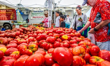 El Dorado Hills Farmers Market to be a year-round event