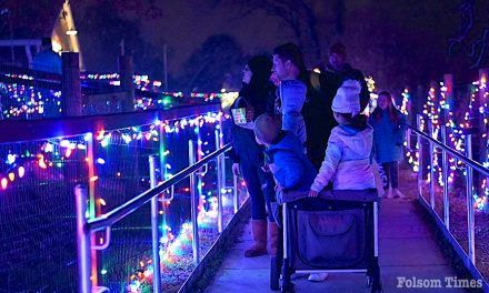 Tickets on sale for Folsom Zoo’s Wild Nights & Holiday Lights