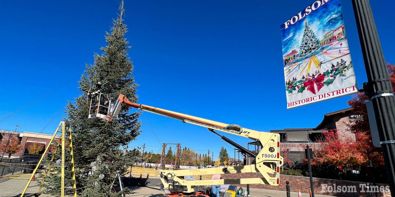 Tis’ the season! Historic Folsom’s holiday tree arrives