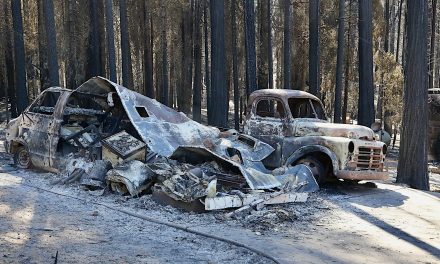 Folsom man, father won’t face criminal charges for Caldor Fire