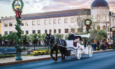 Town Center carriage rides benefit Hands4Hope, Powerhouse Ministries 