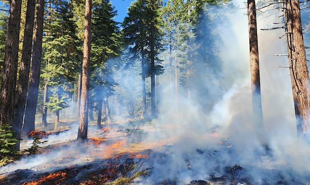 As snow falls in the Sierra, fire fuel abatement teams get busy