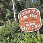 Transient arrested after pickaxe attack at Folsom Lions Park