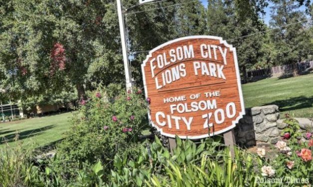 Transient arrested after pickaxe attack at Folsom Lions Park