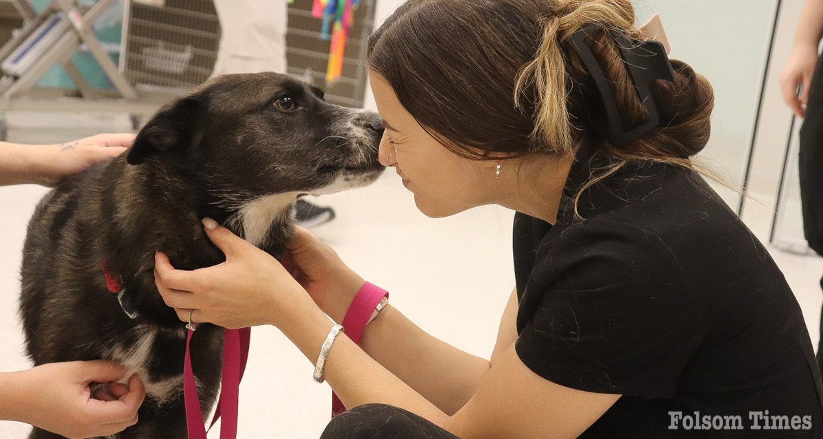 Folsom Ranch welcomes first veterinary hospital to its community 