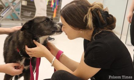Folsom Ranch welcomes first veterinary hospital to its community 