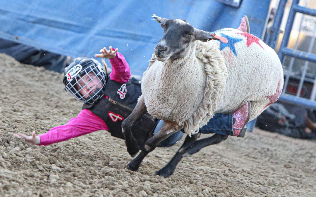 Ticket sales officially open for 2025 Folsom Pro Rodeo