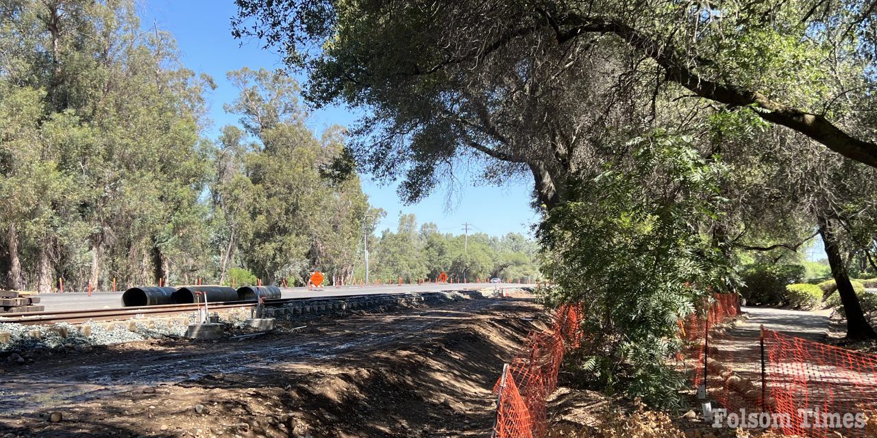 Removal of select Folsom Boulevard landmark oaks approved 4-1