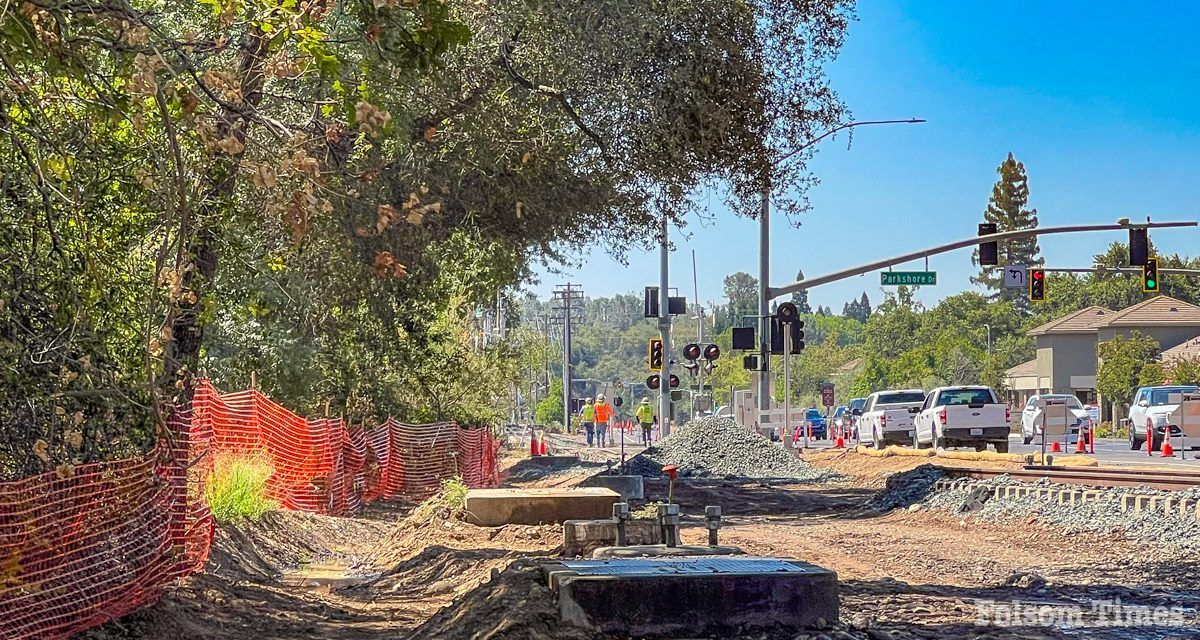 Fate of Folsom Boulevard landmark oaks up for discussion Tuesday