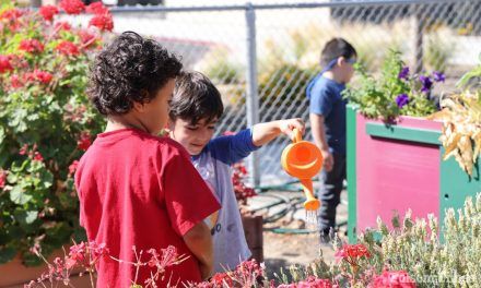 Folsom Cordova Kindercamp nurtures young learner’s growth 