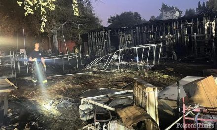 Two Roseville homes burn overnight 
