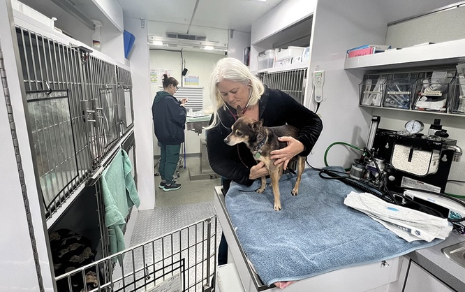 PAWS Mobile Clinic is lifeline for pets of county’s unhoused