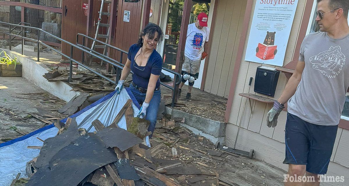 Generous contractor,service club unite to repair Folsom Zoo Sanctuary