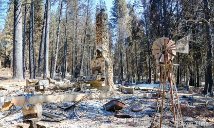 Caldor Fire environment restoration assessment released