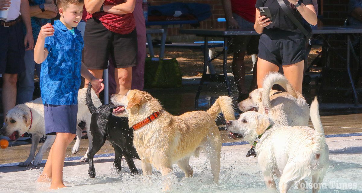 Triple digit heat brings hundreds to Folsom’s 20th Bark ‘n’ Splash