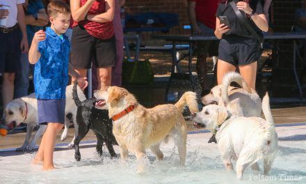 Triple digit heat brings hundreds to Folsom’s 20th Bark ‘n’ Splash