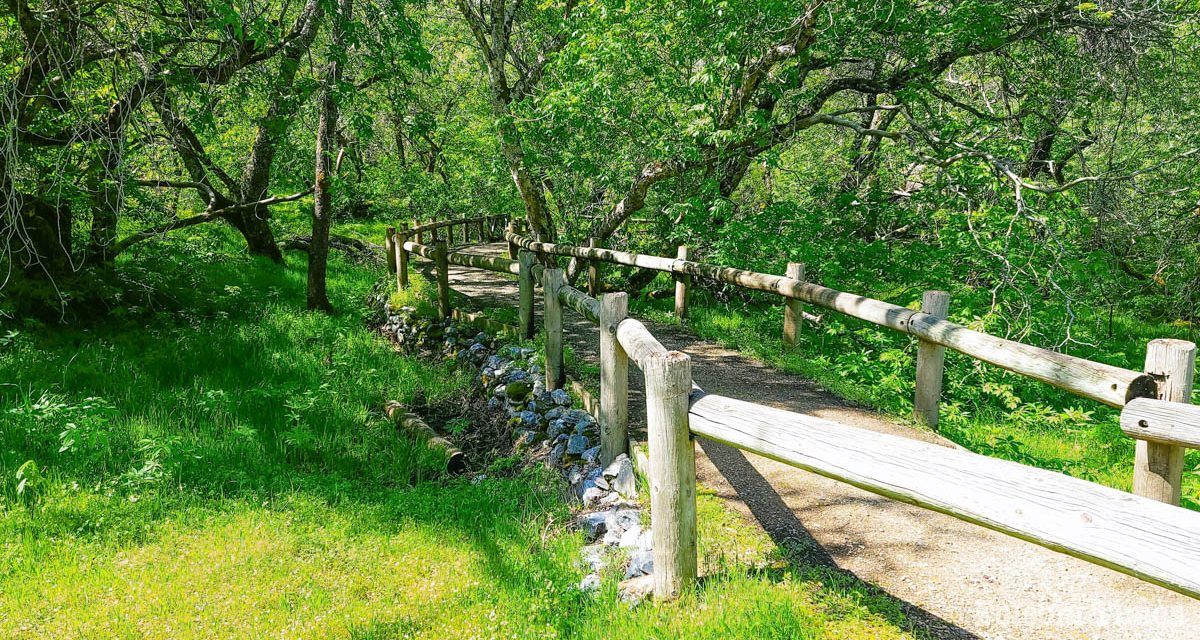 Day Hiker: Explore Folsom’s Oaks Nature Trail SRA