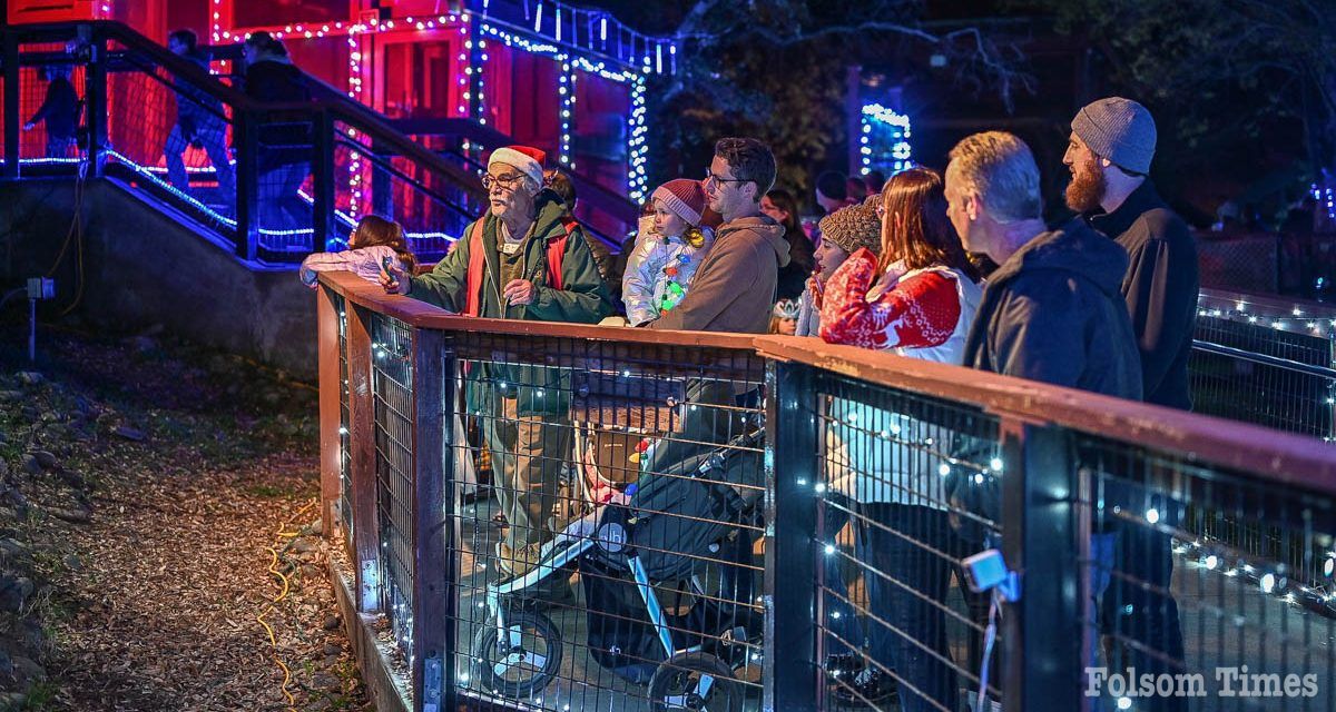 Folsom Zoo Wild Nights and Holiday Lights returns for 14th year