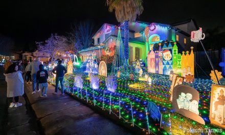 Folsom shines bright: See the winners of 2024 citywide light contest