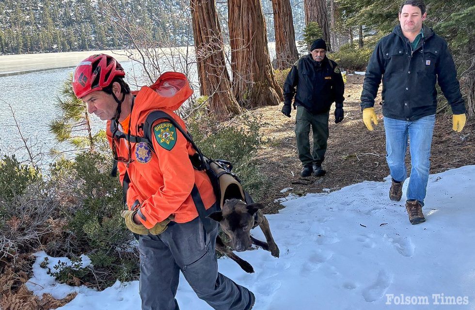 Lucky pup rescued after taking 200-foot plunge off Sierra waterfall