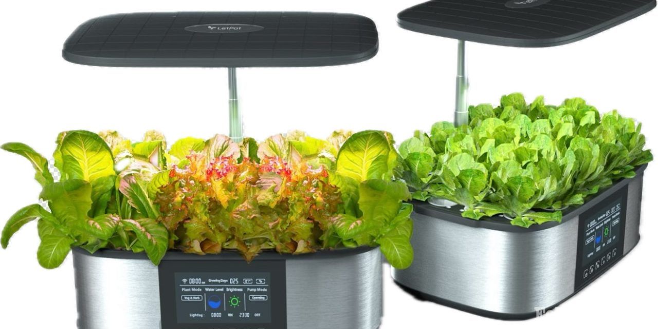 Folsom Families Rave about LetPot’s Indoor Gardening Systems