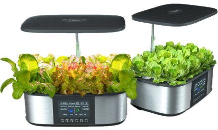 Folsom Families Rave about LetPot’s Indoor Gardening Systems